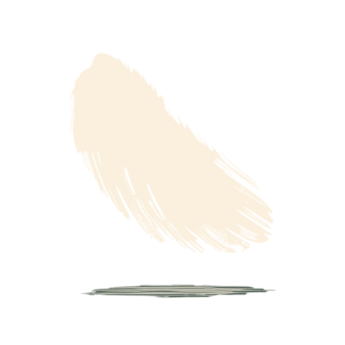 Logo for the FAIR SHARE project Shared Ground Collective: the words ‘shared ground collective’ in dark green, set in lowercase on a light, organic brush-stroke shape against a black background, with a small abstract symbol beneath the text.